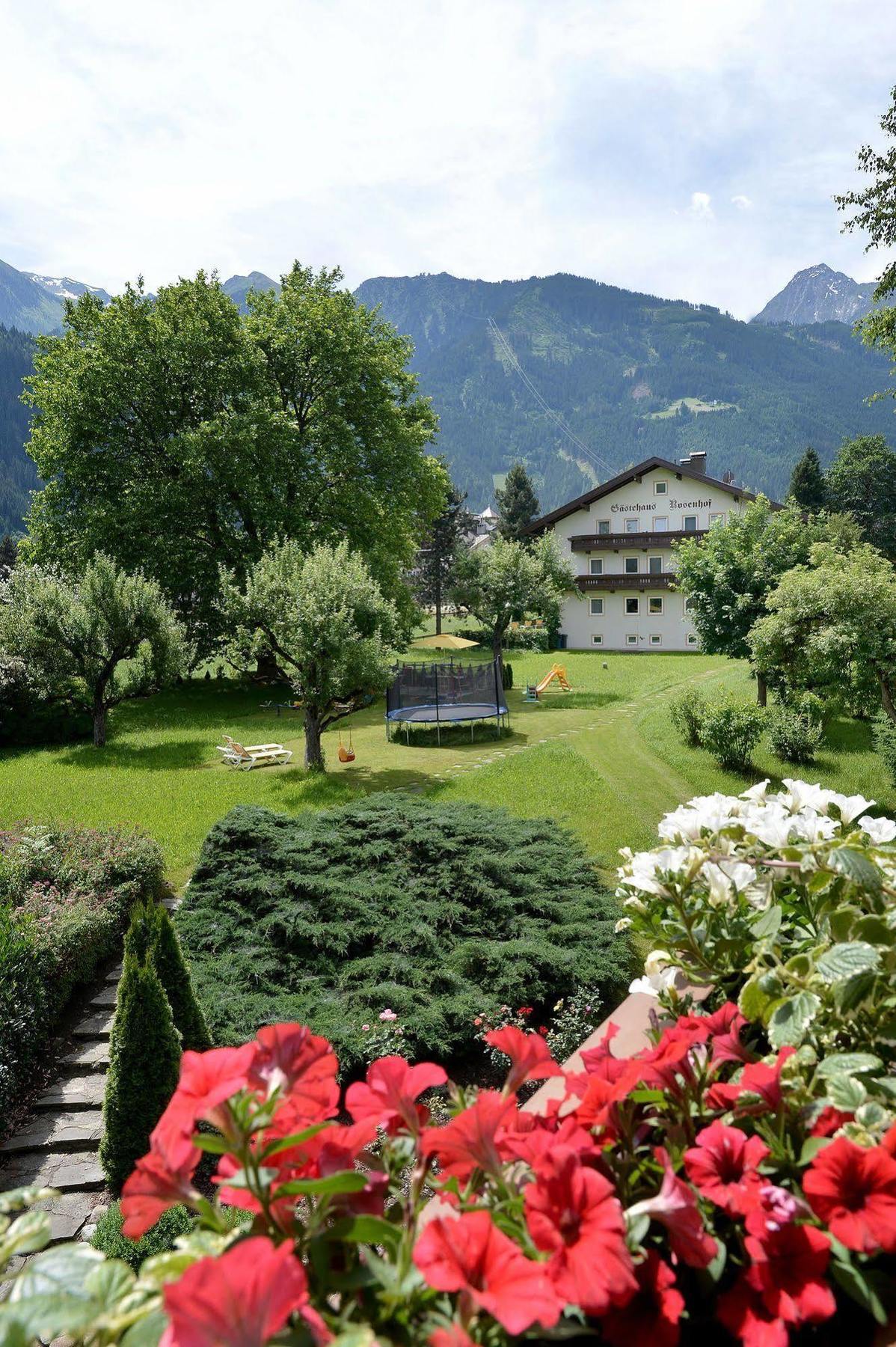 Pension Birkenhof ไมย์อาโฮเฟิน ภายนอก รูปภาพ